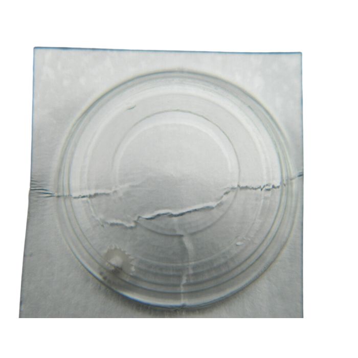 Pulsar Y148A - 260 Roue de minuterie (à l'unité) - Minute wheel (per unit)