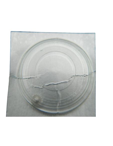 Pulsar Y148A - 260 Roue de minuterie (à l'unité) - Minute wheel (per unit)