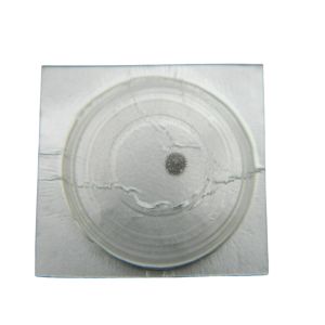 Pulsar V231A - 260 Roue de minuterie (à l'unité) - Minute wheel (per unit)