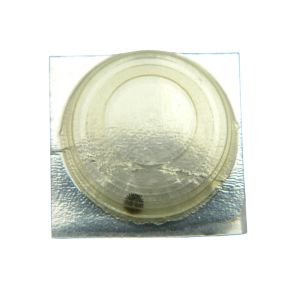 Pulsar V269A - 260 Roue de minuterie (à l'unité) - Minute wheel (per unit)