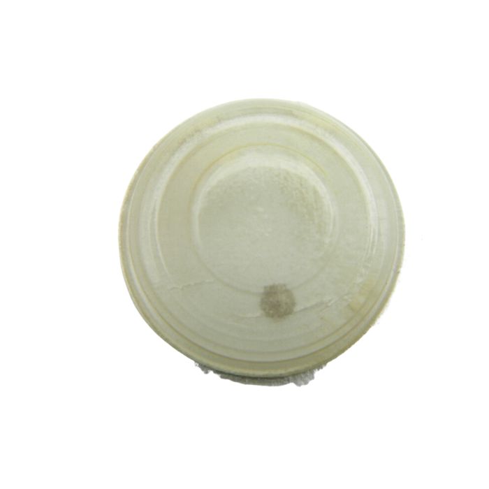 Pulsar 480 - 260 Roue de minuterie (à l'unité) - Minute wheel (per unit)