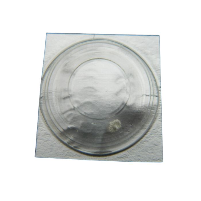 Pulsar V701A - 260 Roue de minuterie (à l'unité) - Minute wheel (per unit)