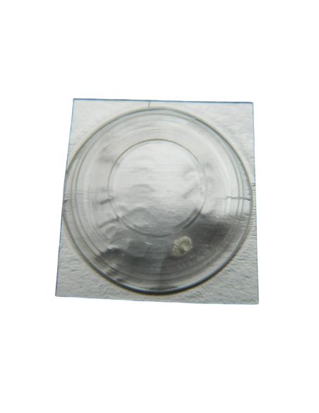 Pulsar V701A - 260 Roue de minuterie (à l'unité) - Minute wheel (per unit)