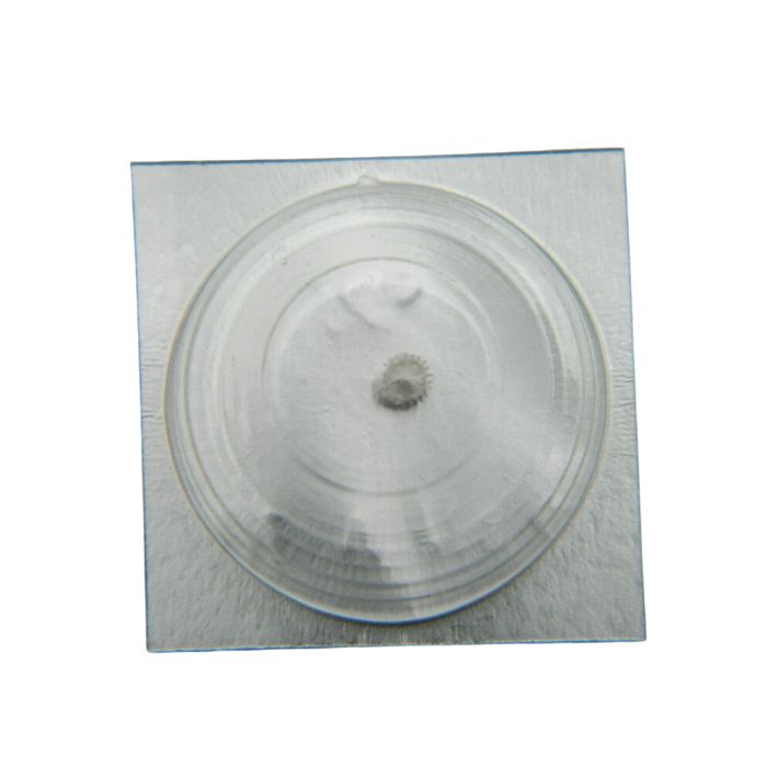 Pulsar V722C - 260 Roue de minuterie (à l'unité) - Minute wheel (per unit)