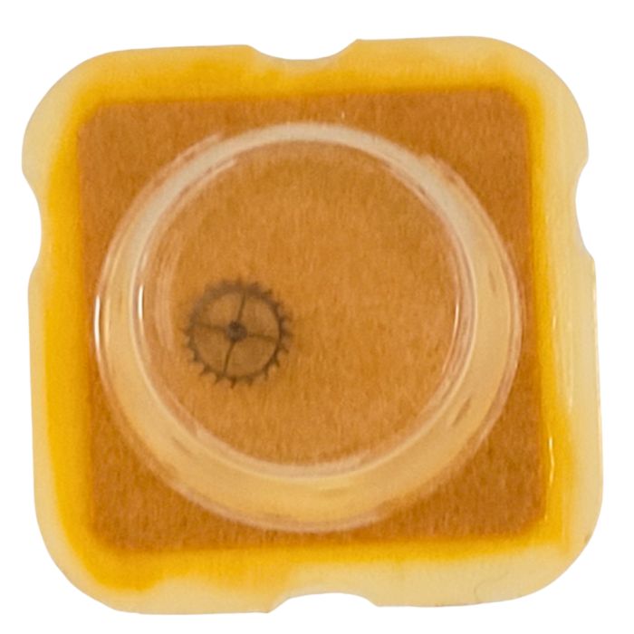 ETA 277.001 - 705 Roue d'ancre pivotée (à l'unité) - Escape wheel and pinion with straight pivots (per unit)