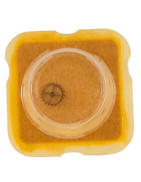 ETA 277.001 - 705 Roue d'ancre pivotée (à l'unité) - Escape wheel and pinion with straight pivots (per unit)