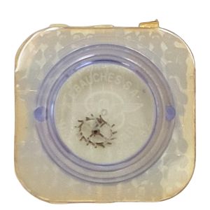 ETA 1100 - 705 Roue d'ancre pivotée (à l'unité) - Escape wheel and pinion with straight pivots (per unit)