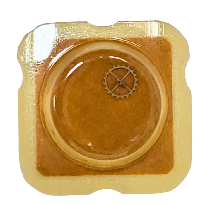 ETA 2851 - 705 Roue d'ancre pivotée (à l'unité) - Escape wheel and pinion with straight pivots (per unit)