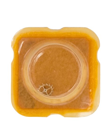 Felsa 4020 - 705 Roue d'ancre pivotée (à l'unité) - Escape wheel and pinion with straight pivots (per unit)