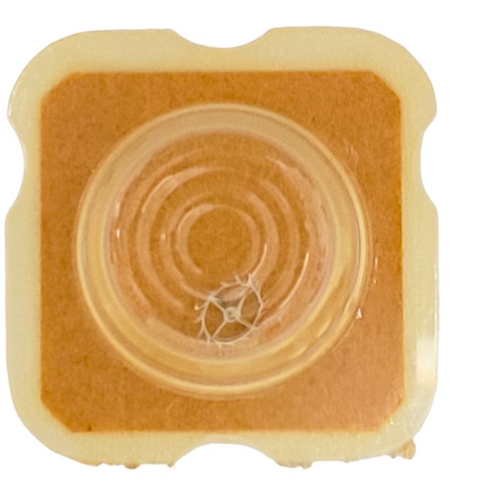 FEF 6620 - 705 Roue d'ancre pivotée (à l'unité) - Escape wheel and pinion with straight pivots (per unit)