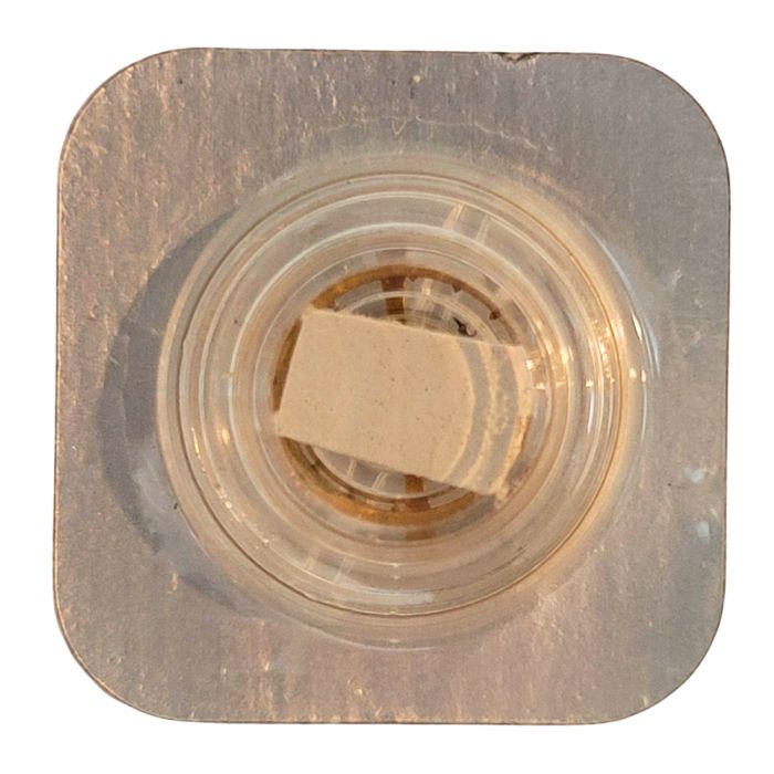 Wostok 2209 - 722 Balancier avec spiral Breguet - Balance with Breguet hairspring regulated