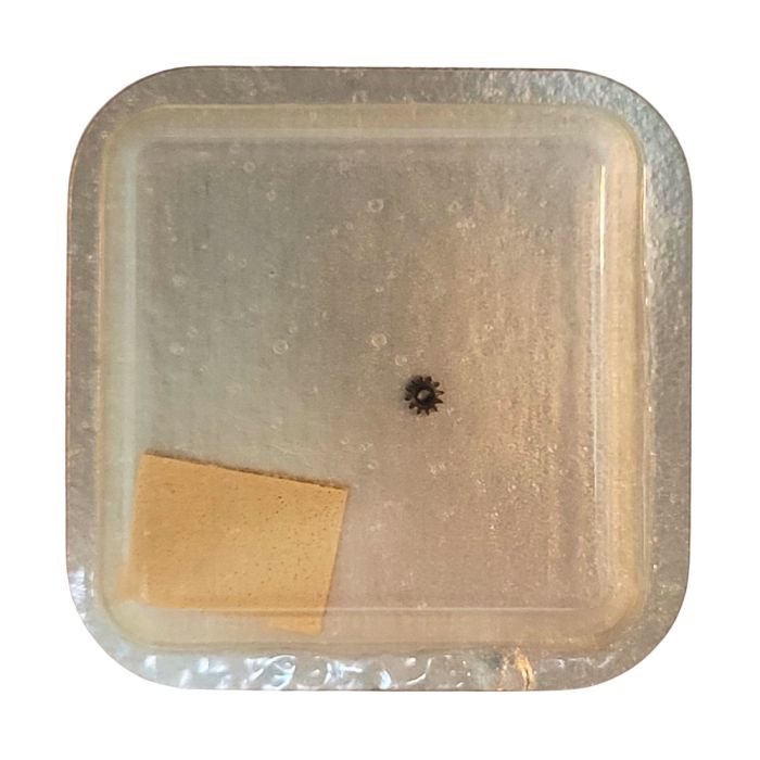 Longines L.645.1 - 450 Renvoi - Setting wheel