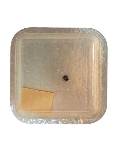 Longines L.645.1 - 450 Renvoi - Setting wheel