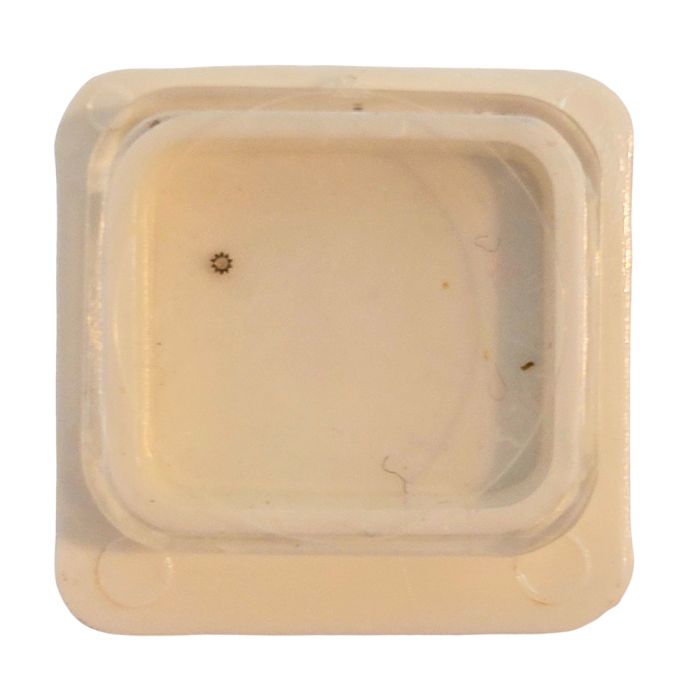 PUW 211 - 450 Renvoi - Setting wheel