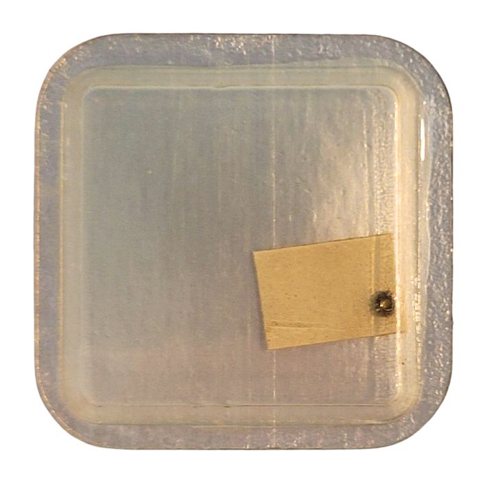 Tissot 709-709/1/2 - 450 Renvoi - Setting wheel