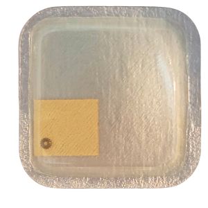 Tissot 2141 - 450 Renvoi - Setting wheel