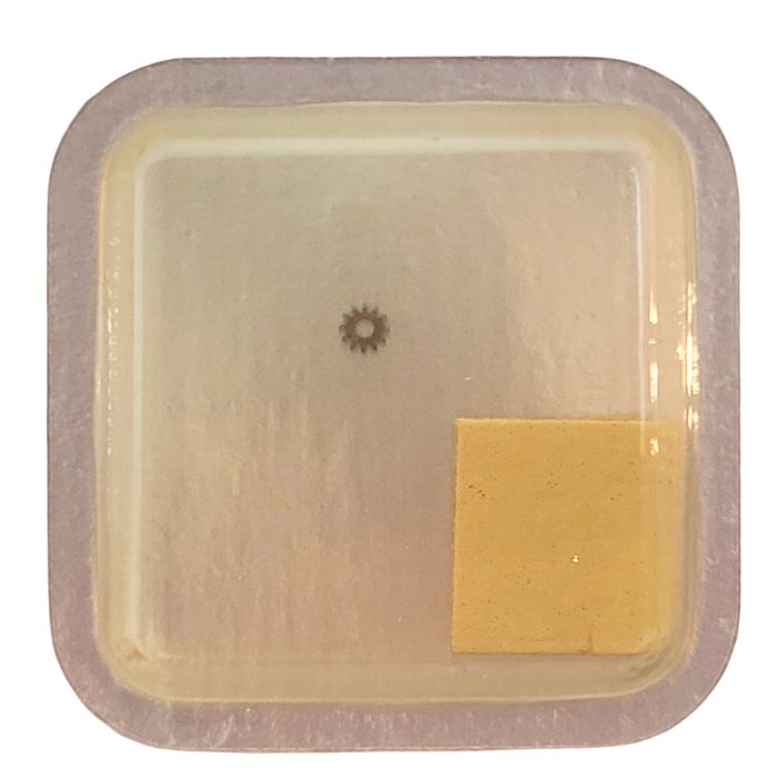 Wostok 2209 - 450 Renvoi - Setting wheel