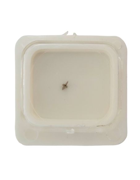 Eterna 1420 - 723 Axe de balancier - balance staff, pivoted