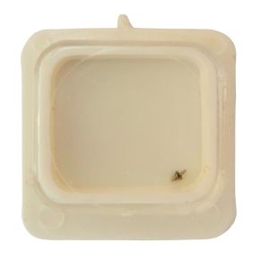 Eterna 1446K - 723 Axe de balancier - balance staff, pivoted