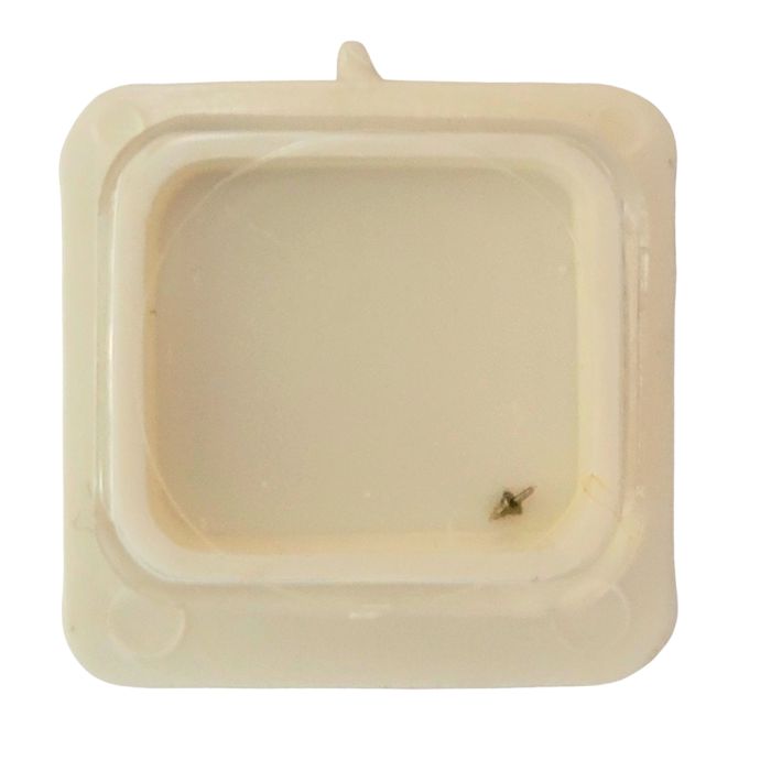 Eterna 1446K - 723 Axe de balancier - balance staff, pivoted