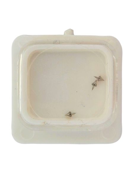 Eterna 12801 - 723 Axe de balancier - balance staff, pivoted