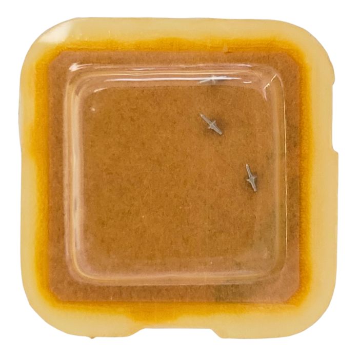 FHF 59-21 - 723 Axe de balancier - balance staff, pivoted