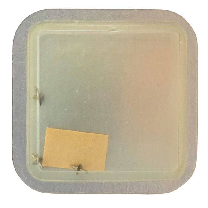 Enicar 1160 - 724 Axe de balancier Incabloc - Incabloc balance staff, pivoted