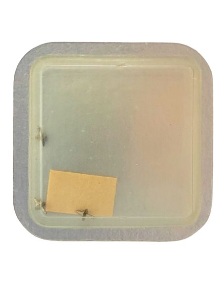 Enicar 1160 - 724 Axe de balancier Incabloc - Incabloc balance staff, pivoted