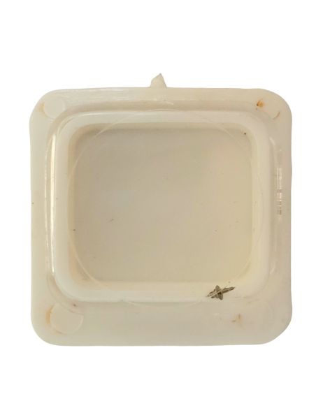 FHF 552 - 724 Axe de balancier "Incabloc" - "Incabloc" balance staff, pivoted