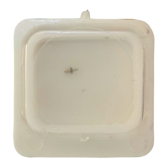 Movado 6-5 - 724 Axe de balancier "Incabloc" - "Incabloc" balance staff, pivoted