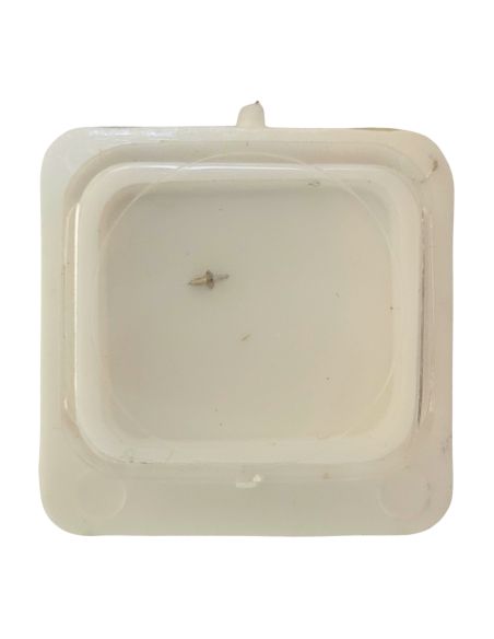 Movado 6-5 - 724 Axe de balancier "Incabloc" - "Incabloc" balance staff, pivoted