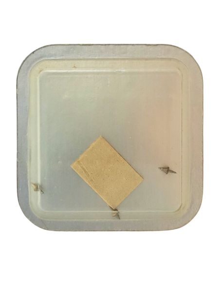 Roamer 466.468 - 724 Axe de balancier "Incabloc" - "Incabloc" balance staff, pivoted