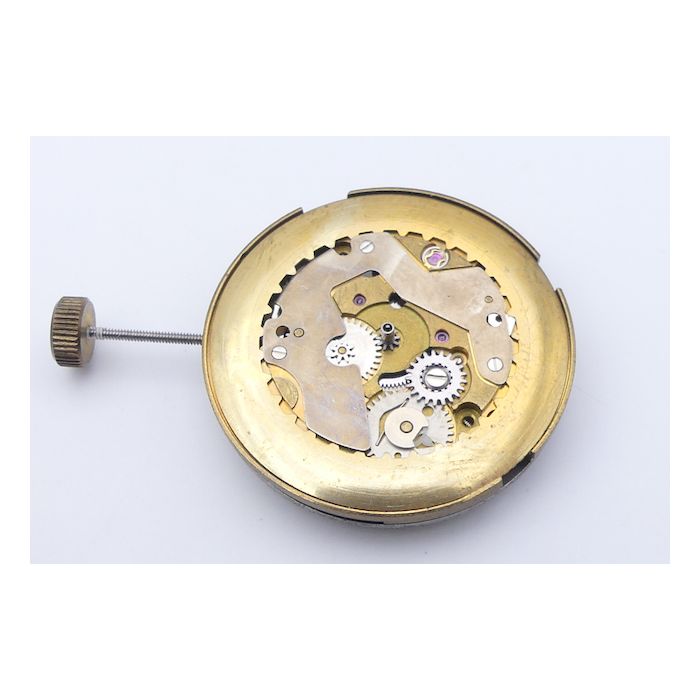 FHF 909-Titus mouvement