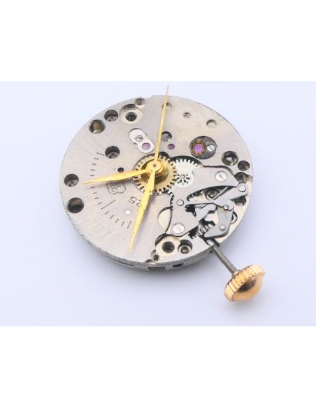 FHF 25 Mouvement - Movement