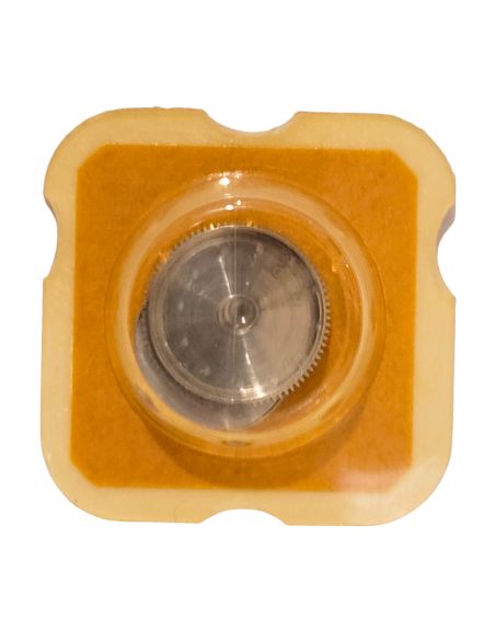 Peseux 7060 - 182 barillet avec couvercle (sans arbre) (à l'unité) - Barrel and cover (without arbor) (per unit)
