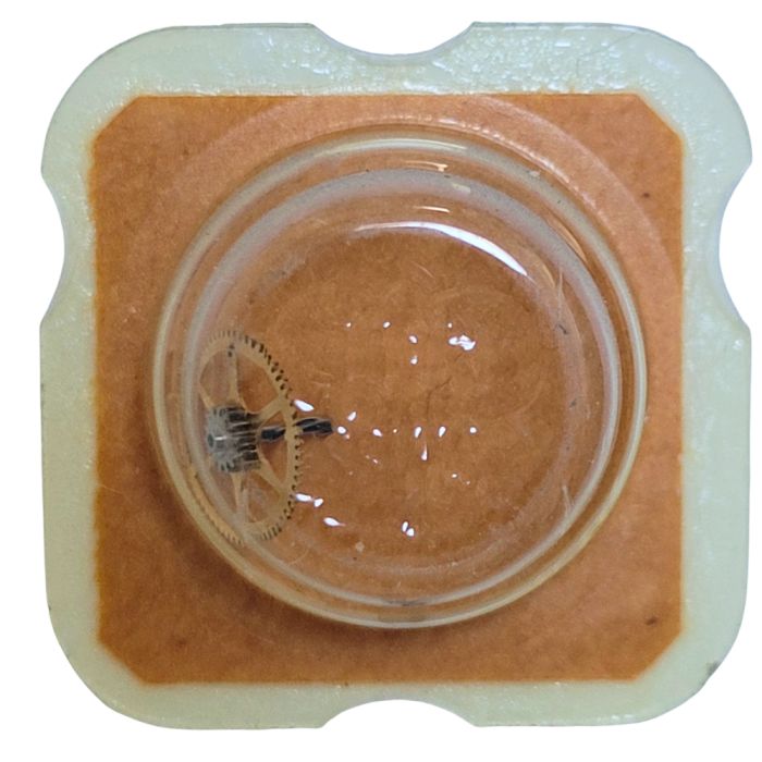 AS 5001 - 206 Roue de centre percée sans chaussée (à l'unité) - Center wheel and pinion drilled without cannon pinion (per unit)