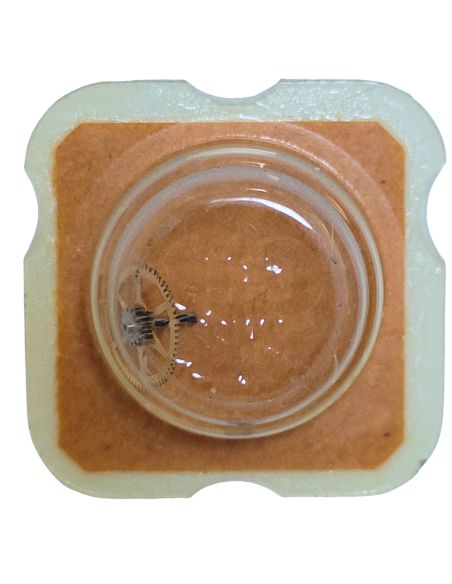 AS 5001 - 206 Roue de centre percée sans chaussée (à l'unité) - Center wheel and pinion drilled without cannon pinion (per unit)