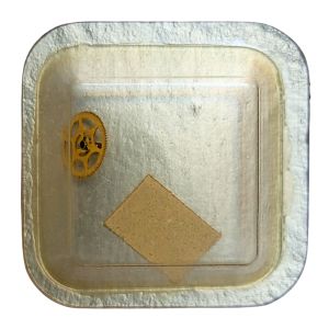 Certina 17-351 - 242 Chaussée avec roue entraîneuse (à l'unité) - Cannon pinion with driving wheel (per unit)