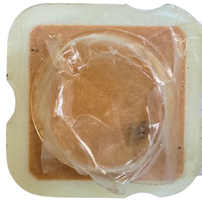 ESA 956.031 - 242 Chaussée avec roue entraîneuse (à l'unité) - Cannon pinion with driving wheel (per unit)