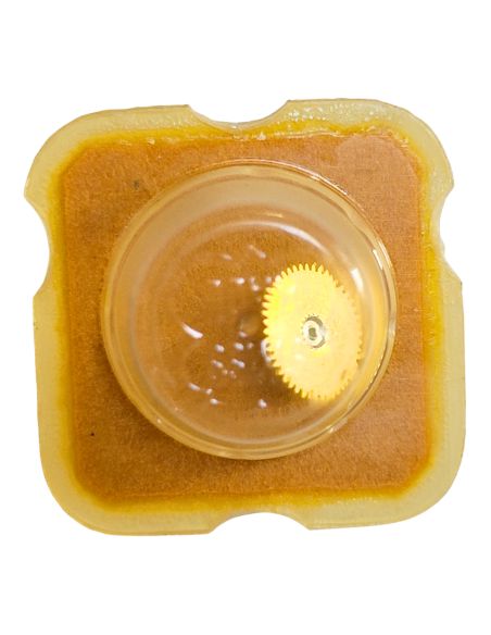 ESA 9158 - 242 Chaussée avec roue entraîneuse (à l'unité) - Cannon pinion with driving wheel (per unit)