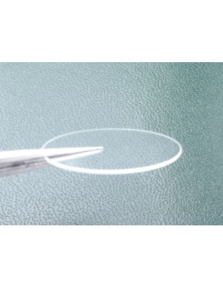 Zenith 27 0181 385 Verre - Crystal