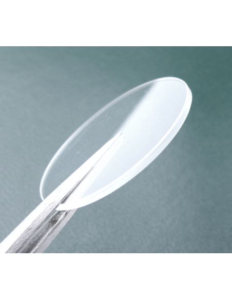 Zenith 20 1270 290 Verre - Crystal