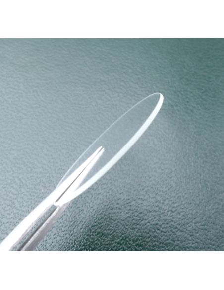 Zenith 27 0324 605 Verre - Crystal