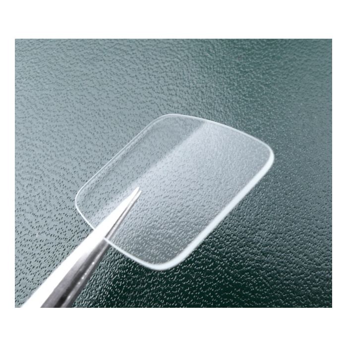 Zenith 27 0500 116 Verre - Crystal