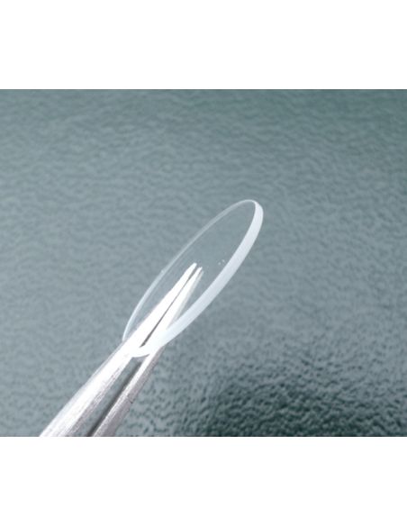 Zenith 50 0761 981 Verre - Crystal