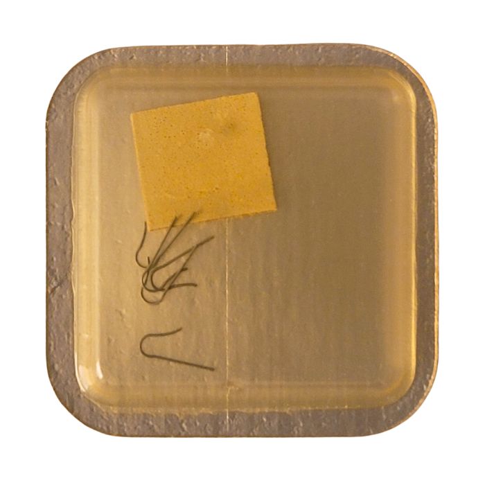 Longines 6922 - 430 Ressort de cliquet (à l'unité) - Click spring (per unit)