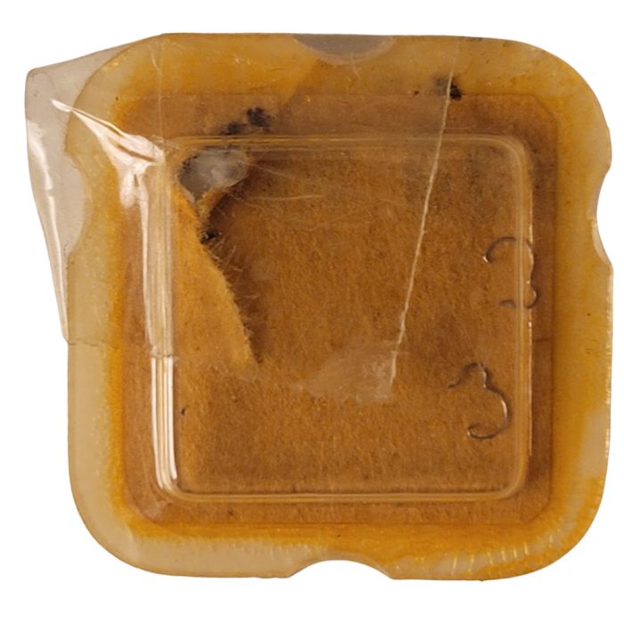 Omega 210 - 1105 Ressort de cliquet (à l'unité) - Click spring (per unit)