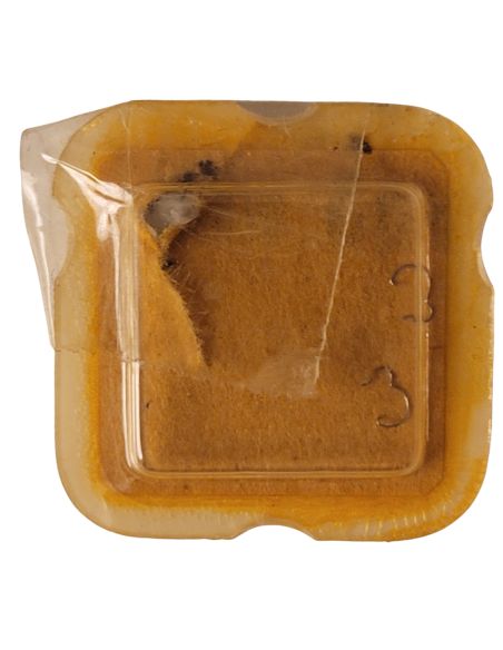 Omega 210 - 1105 Ressort de cliquet (à l'unité) - Click spring (per unit)