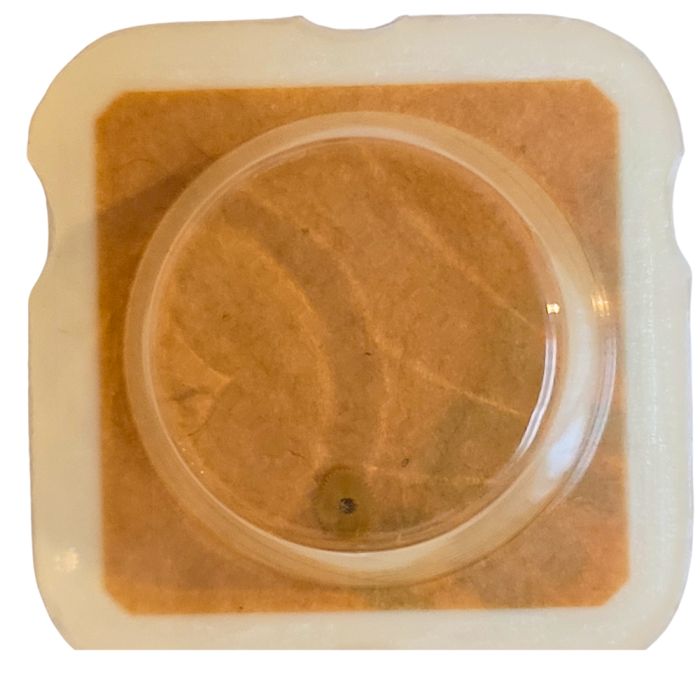 ETA 280.002 - 203 Roue intermédiaire (à l'unité) - Intermediate wheel and pinion (per unit)