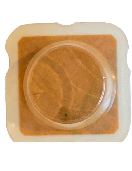 ETA 280.002 - 203 Roue intermédiaire (à l'unité) - Intermediate wheel and pinion (per unit)